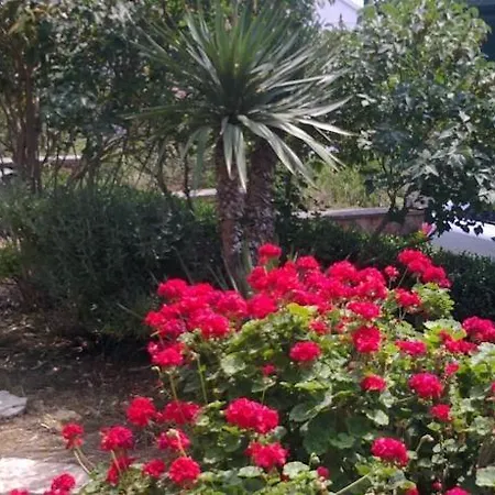 Apartament In With Sea View, Loggia, Air Conditioning, Wi-fi *